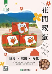照片 3