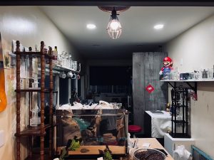 照片 2