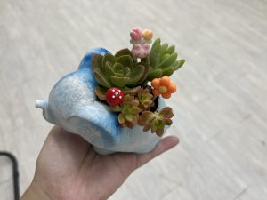 照片 2
