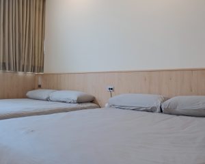 照片 5