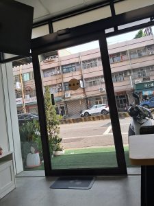 照片 2