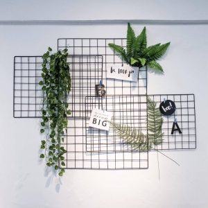 照片 3